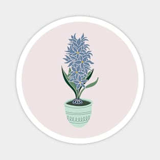 Hyacinth grows from a bulb in flowerpot Magnet